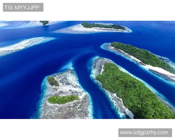 帕劳足球球星:从小岛到国际赛场的荣耀之路与传奇故事 帕劳足球球星:从小岛到国际赛场的荣耀之路与传奇故事