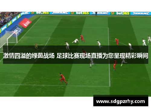 激情四溢的绿茵战场 足球比赛现场直播为您呈现精彩瞬间
