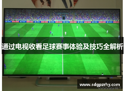 通过电视收看足球赛事体验及技巧全解析